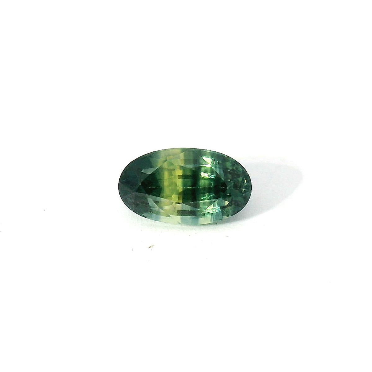 bi-color long oval