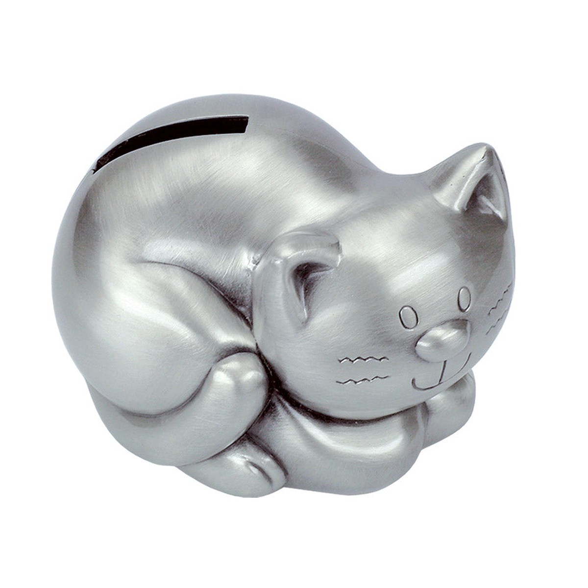 Saving clip, cat